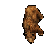 Sprite de Bear